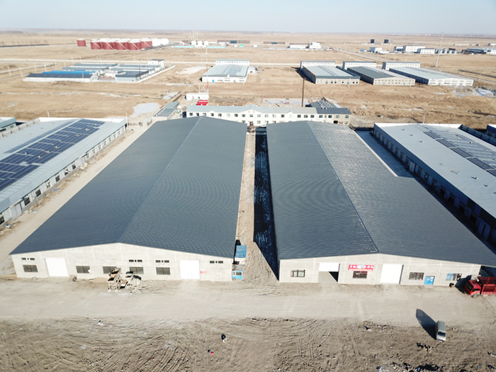 首页|7790必发集团中国官方网站